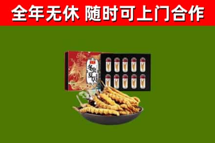 尚志市烟酒回收冬虫夏草礼盒.jpg